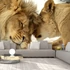 Kép 1/4 - Öntapadó fotótapéta - Lion Tenderness