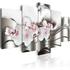 Kép 1/4 - Kép - The beauty of orchids