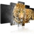 Kép 1/4 - Kép - Green-eyed leopard