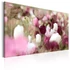 Kép 1/4 - Kép - Meadow of Tulips