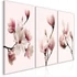 Kép 1/4 - Kép - Spring Magnolias (3 Parts)