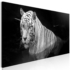Kép 1/4 - Kép - Shining Tiger (1 Part) Black and White Narrow