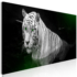 Kép 1/4 - Kép - Shining Tiger (1 Part) Green Narrow