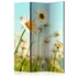 Kép 1/4 - Paraván - Daisies - spring meadow [Room Dividers]