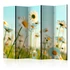Kép 1/4 - Paraván - Daisies - spring meadow II [Room Dividers]
