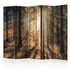 Kép 1/4 - Paraván - Autumnal Forest II [Room Dividers]
