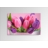 Kép 1/2 - Digital Art vászonkép | 1211-S Tulipe Colore ONE