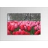 Kép 1/2 - Digital Art vászonkép | 1219-S Tulpen ONE