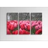 Kép 1/2 - Digital Art vászonkép | 1219-S Tulpen THREE