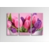 Kép 1/2 - Digital Art vászonkép | 1211-S Tulipe Colore THREE